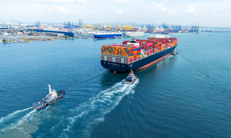 Những Điểm Cần Kiểm Tra Trước Khi Chọn Dịch Vụ Ship Hàng Taobao Chính Ngạch Hà Nội
